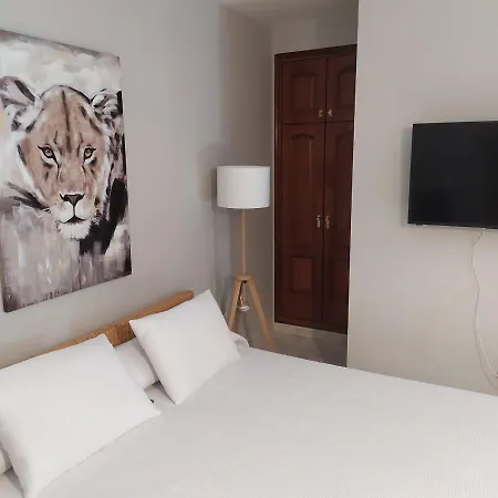 Apartment La Palmera